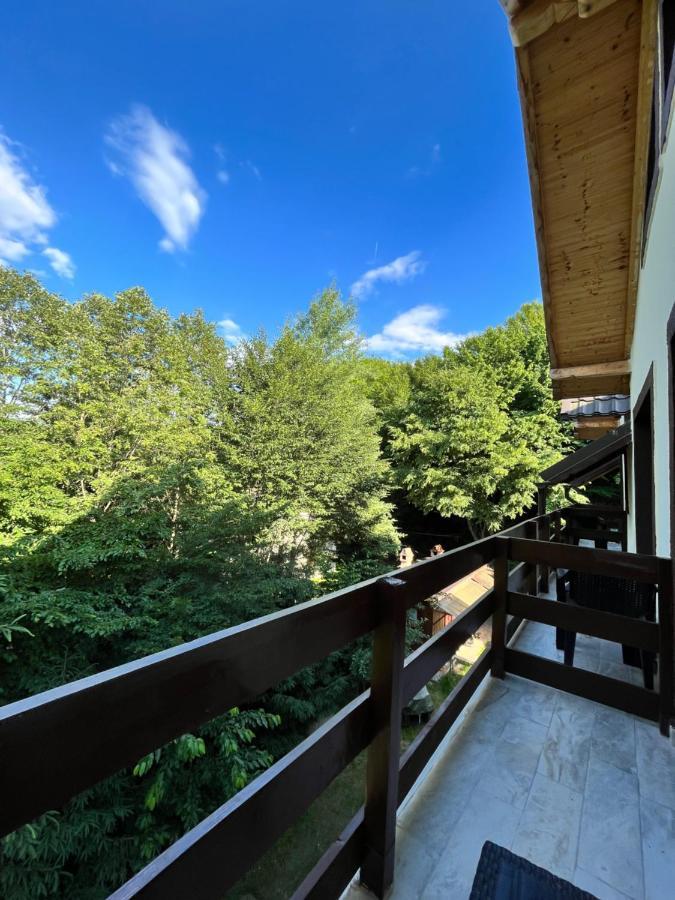 Cabana Din Padure Hotel โปรุมบาคู เด ซุซ ภายนอก รูปภาพ