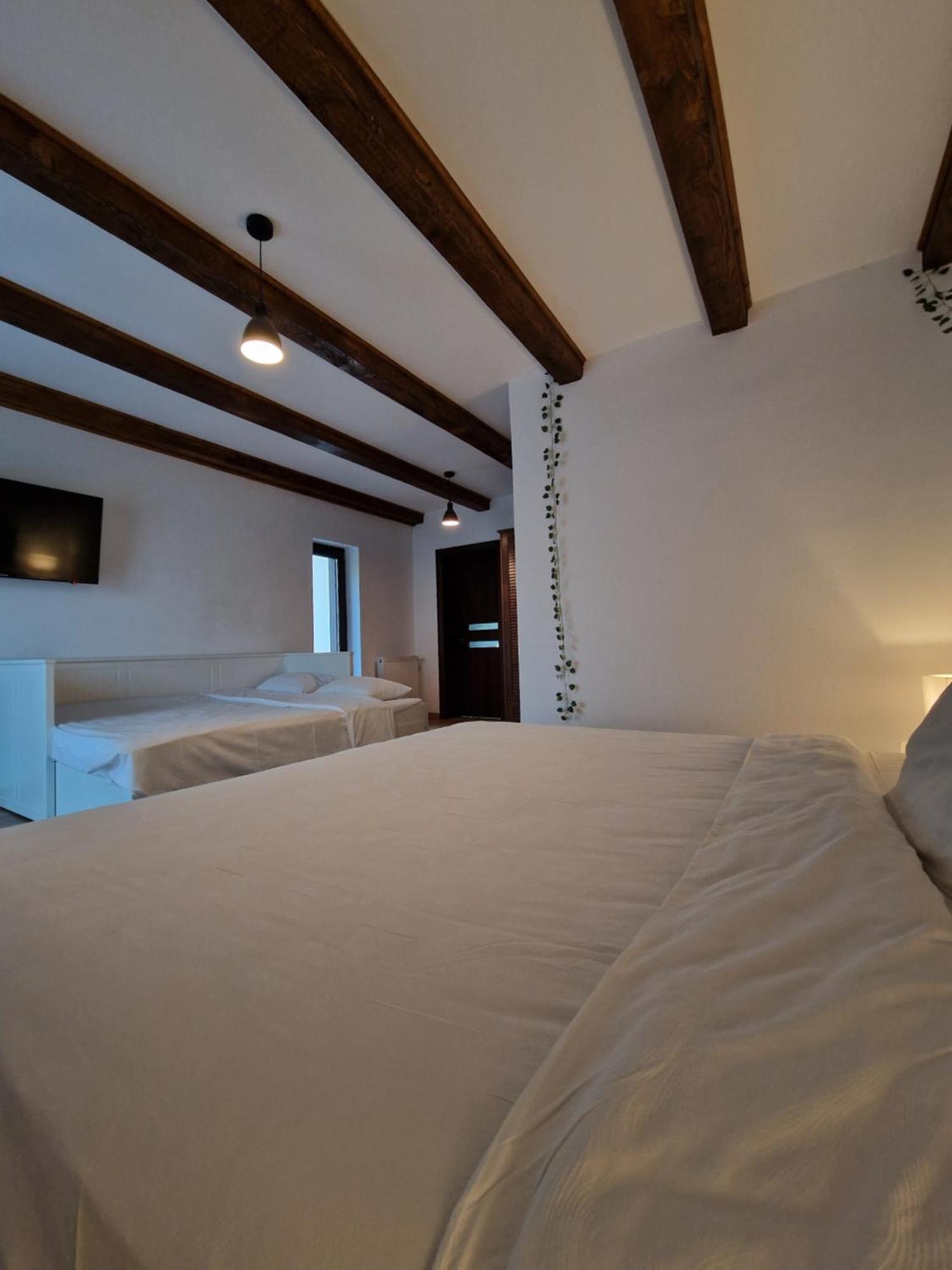 Cabana Din Padure Hotel โปรุมบาคู เด ซุซ ภายนอก รูปภาพ